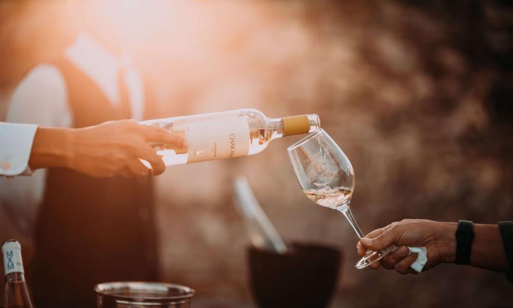 Visiting winelands