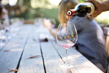 Visiting winelands half day tour 