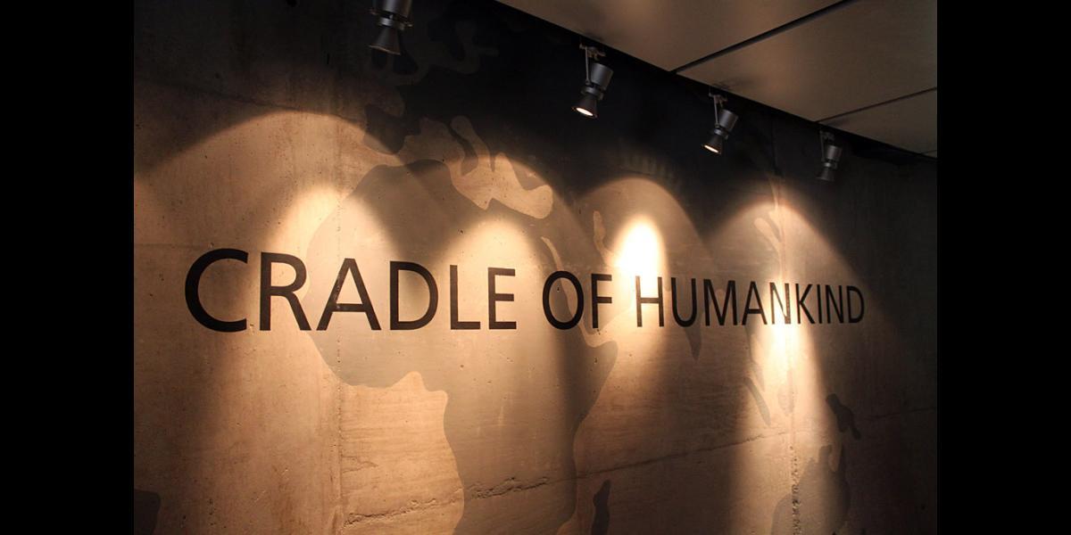 visit cradle of humankind and lion park 