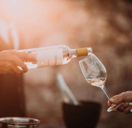 Visiting winelands