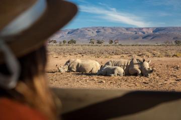 Cheetah two days Safari 