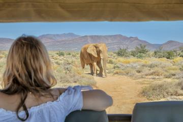 Cape Town two days Safari