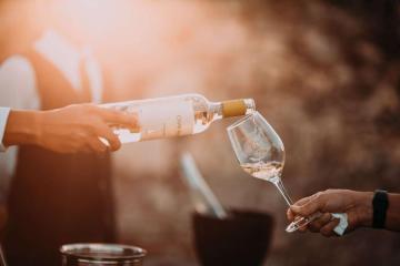 Visiting winelands