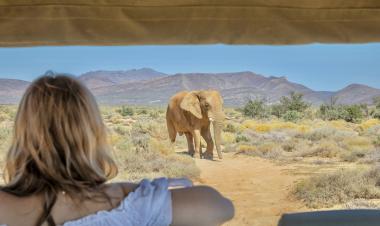 Cape Town two days Safari