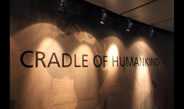 visit cradle of humankind and lion park 