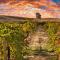 The-Wine-Route-miniature